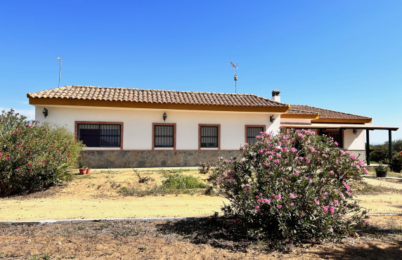 For Sale - Casas o chalets - Utrera - Camino de los Adrianes