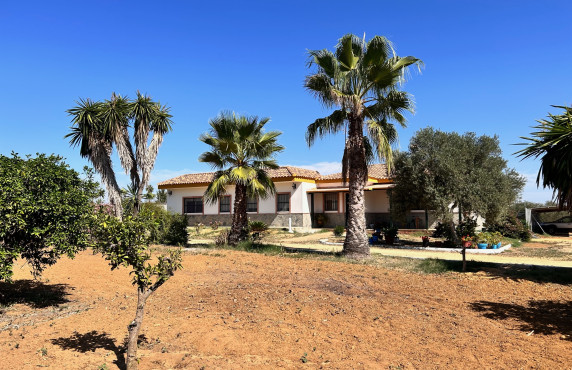 For Sale - Casas o chalets - Utrera - Camino de los Adrianes