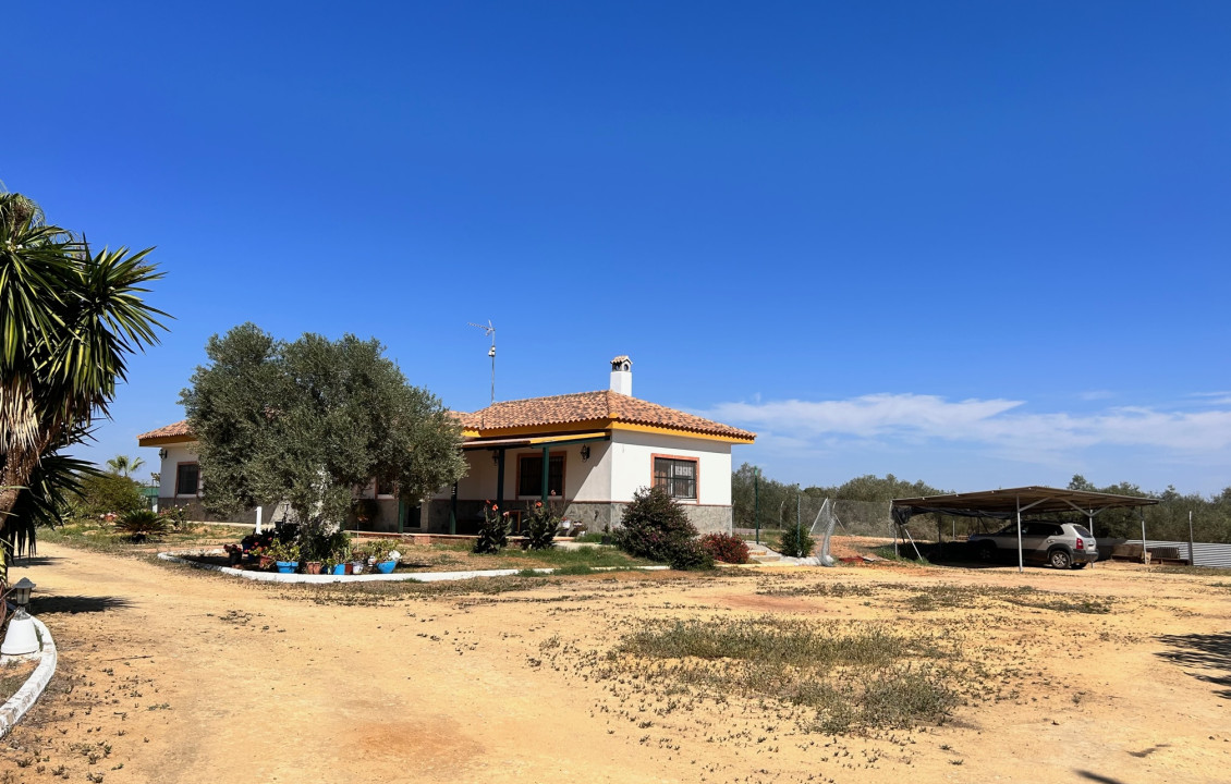 For Sale - Casas o chalets - Utrera - Camino de los Adrianes