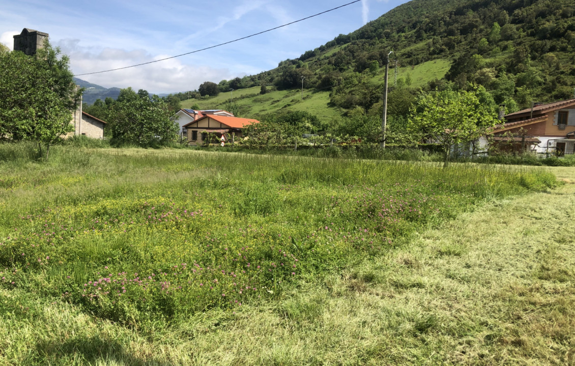 Venta - Fincas y solares - Valle de Mena - Ungo