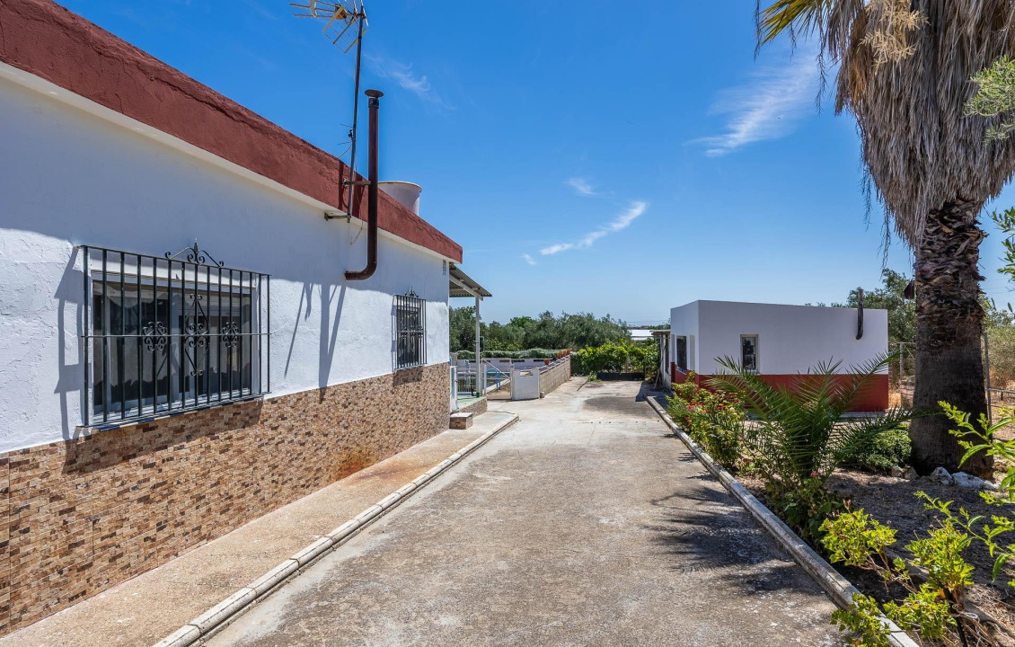 Venta - Casas o chalets - Almensilla - RIO PUDIO