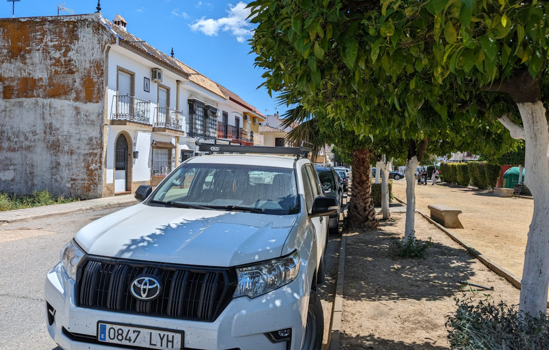 Venta - Fincas y solares - Guillena - Calle Cruz de la Mujer