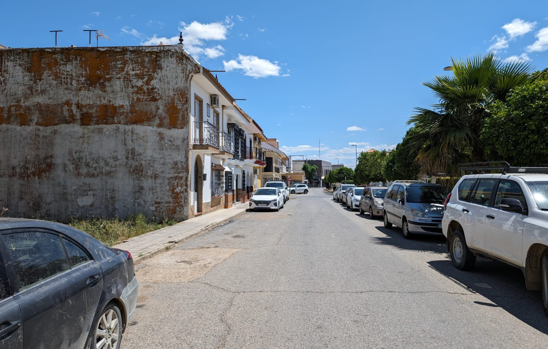 Venta - Fincas y solares - Guillena - Calle Cruz de la Mujer