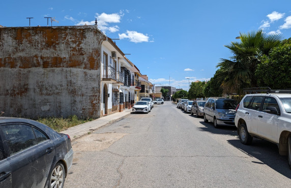 Venta - Fincas y solares - Guillena - Calle Cruz de la Mujer