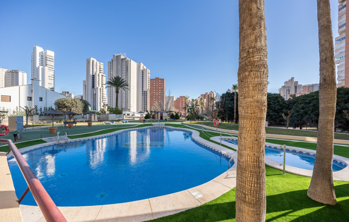 Venta - Pisos - Benidorm - MUNICIPI