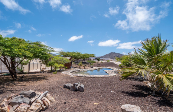 Venta - Casas o chalets - Pájara - Barranco de los Chigüigos