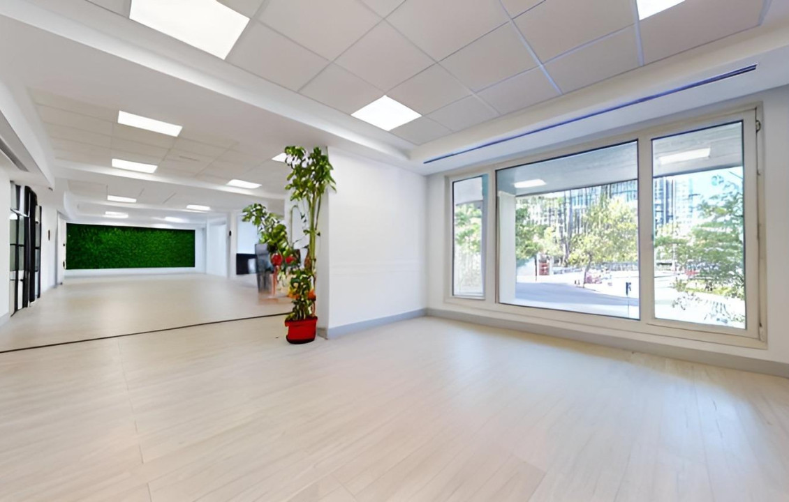 Long Rental Period - Oficinas - Madrid - CASTELLANA