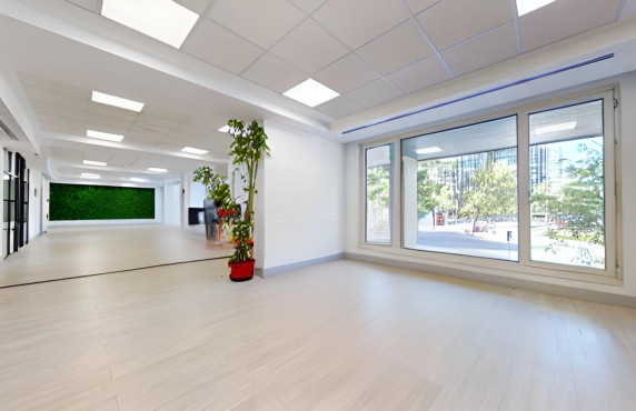 Long Rental Period - Oficinas - Madrid - CASTELLANA