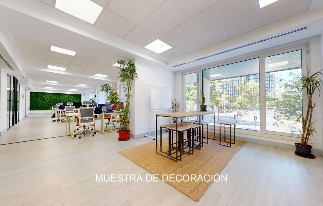 Long Rental Period - Oficinas - Madrid - CASTELLANA