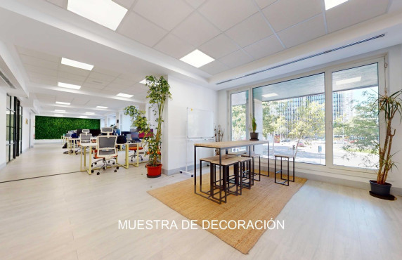 Long Rental Period - Oficinas - Madrid - CASTELLANA