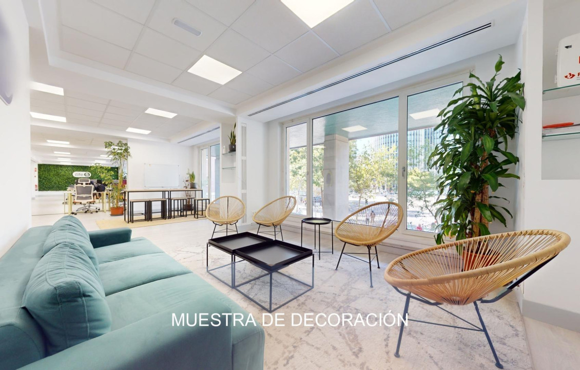 Long Rental Period - Oficinas - Madrid - CASTELLANA