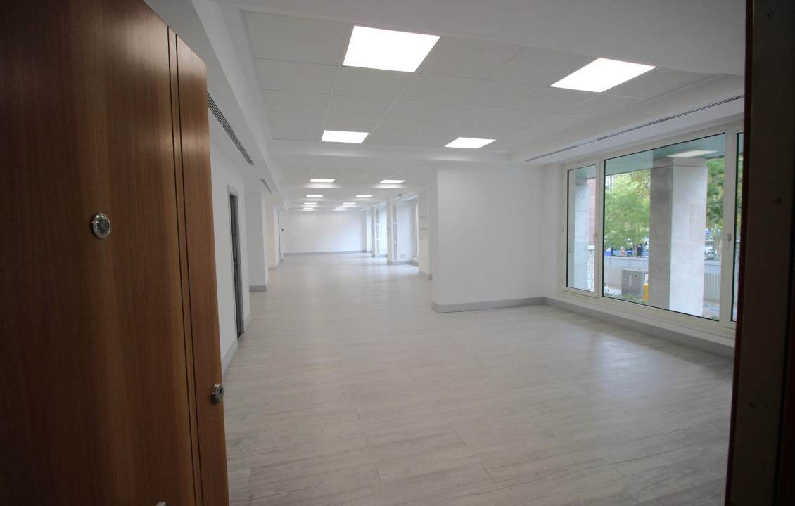 Long Rental Period - Oficinas - Madrid - CASTELLANA