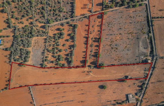 For Sale - Fincas y solares - Santanyí - 7 Parcela 55