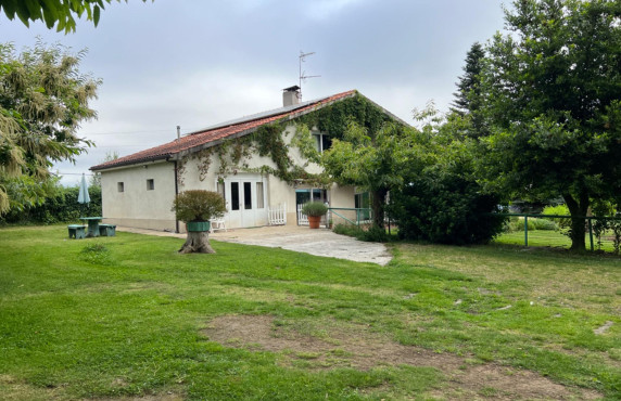 Venta - Casas o chalets - Celanova - SAN PAIO