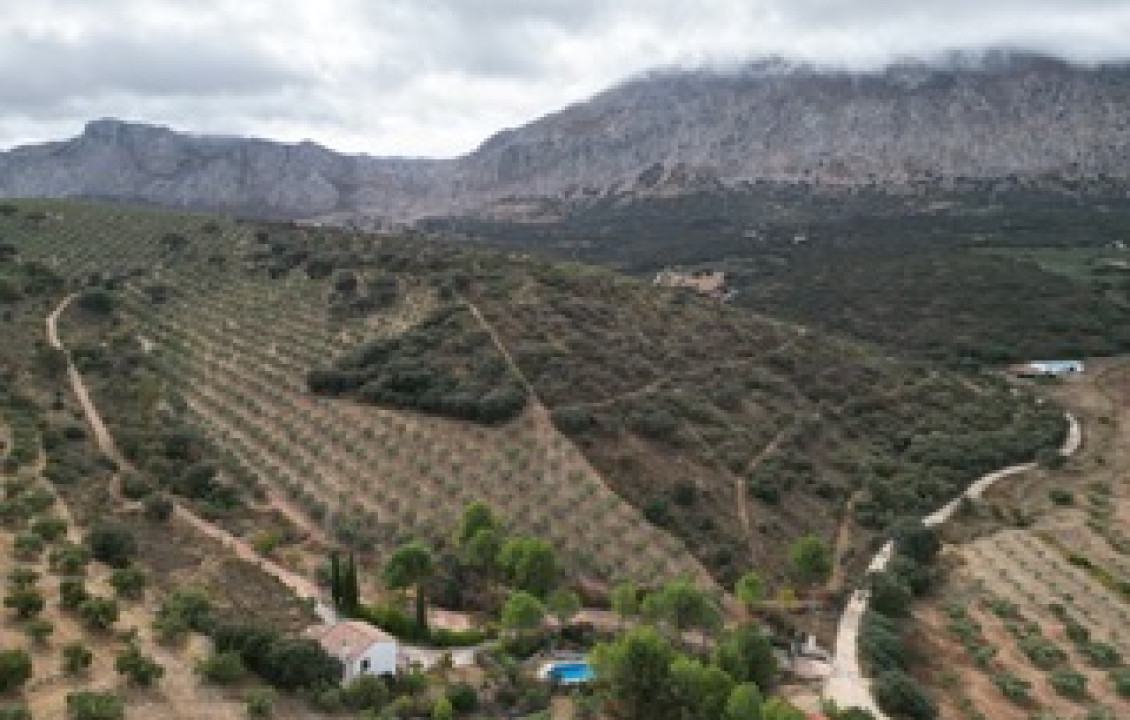 Venta - Casas o chalets - Antequera - Crta. Torcal Antequera