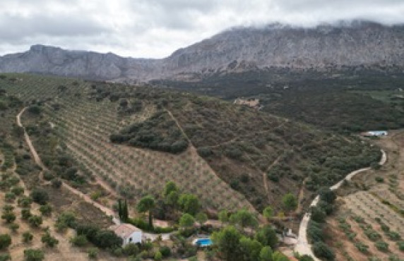 Venta - Casas o chalets - Antequera - Crta. Torcal Antequera