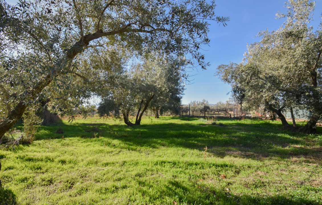 Venta - Casas o chalets - Gójar - Colorada