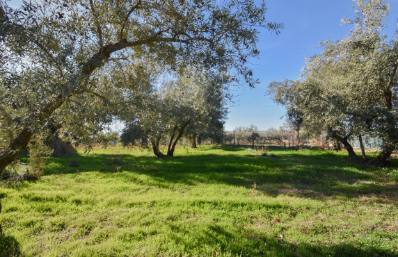 Venta - Casas o chalets - Gójar - Colorada