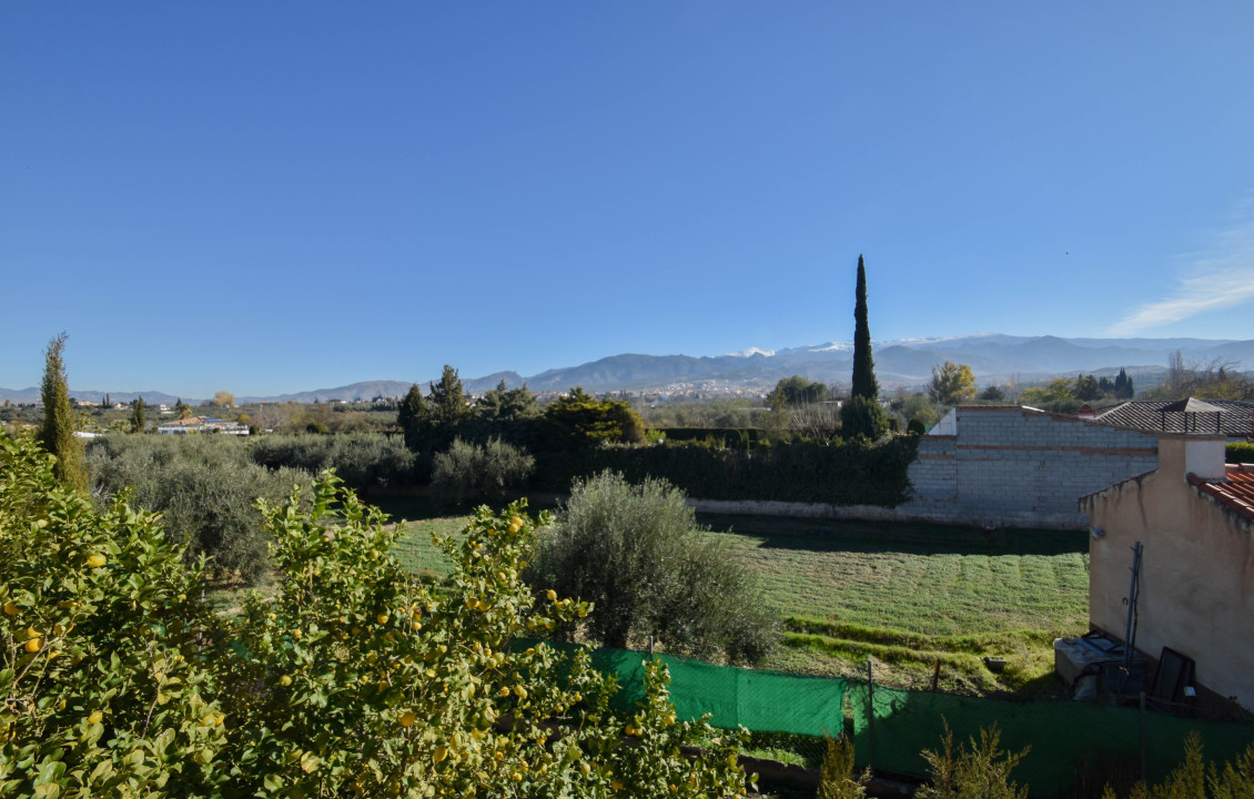 Venta - Casas o chalets - Gójar - Colorada