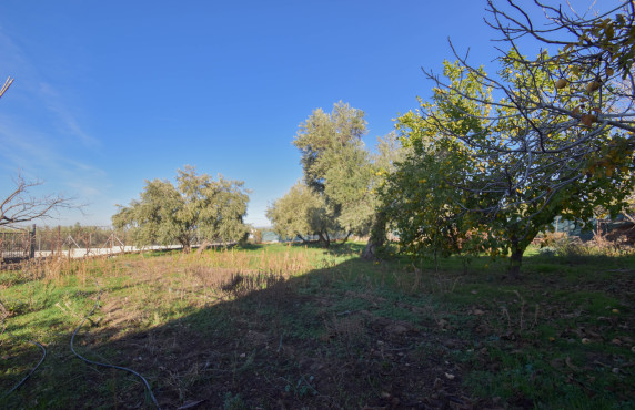 Venta - Casas o chalets - Gójar - Colorada