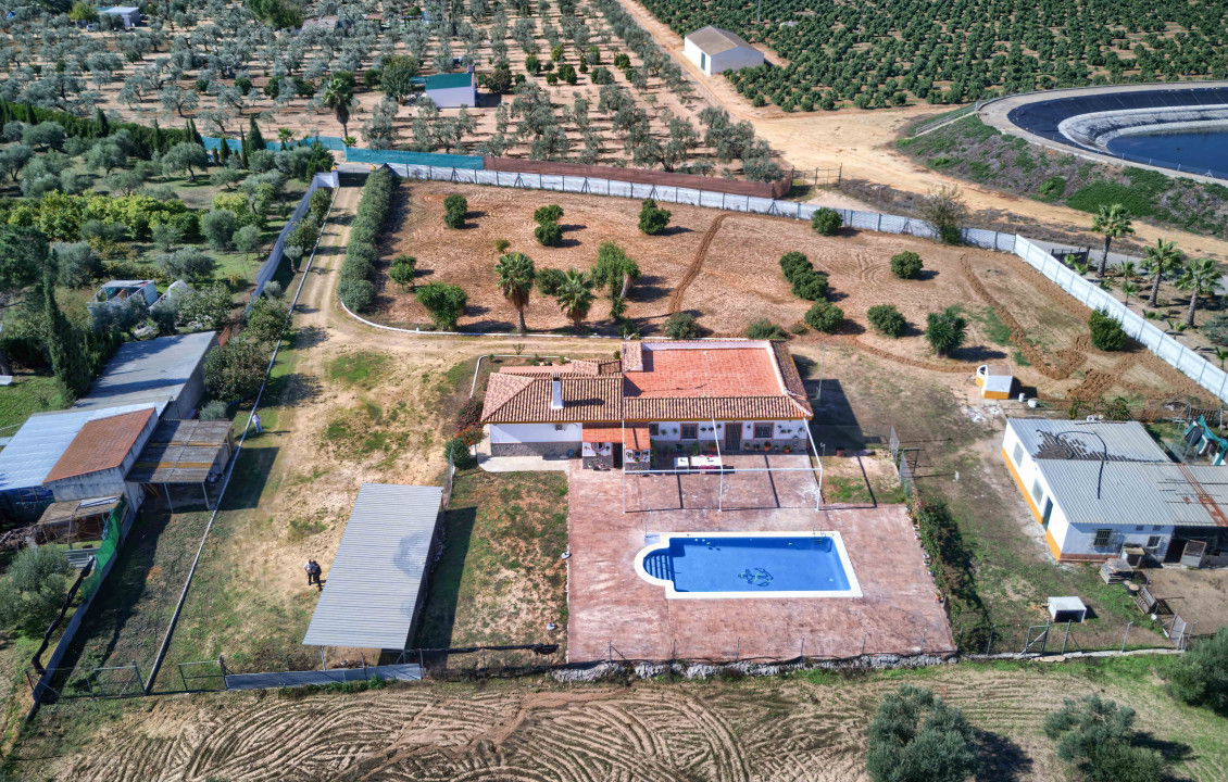 For Sale - Casas o chalets - Utrera - Camino de los Adrianes