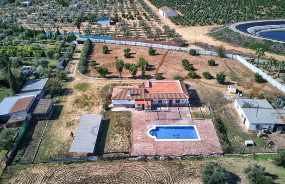 For Sale - Casas o chalets - Utrera - Camino de los Adrianes