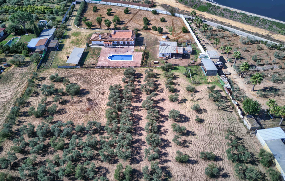 For Sale - Casas o chalets - Utrera - Camino de los Adrianes