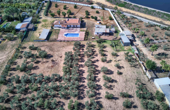 For Sale - Casas o chalets - Utrera - Camino de los Adrianes