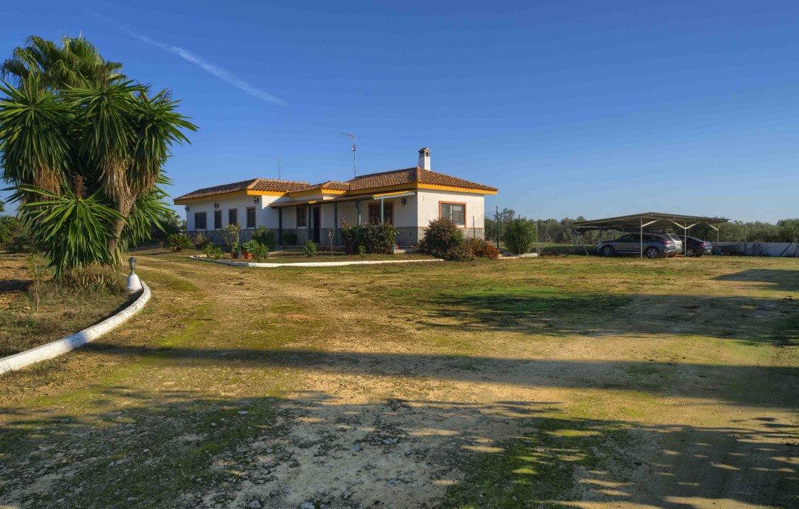 For Sale - Casas o chalets - Utrera - Camino de los Adrianes