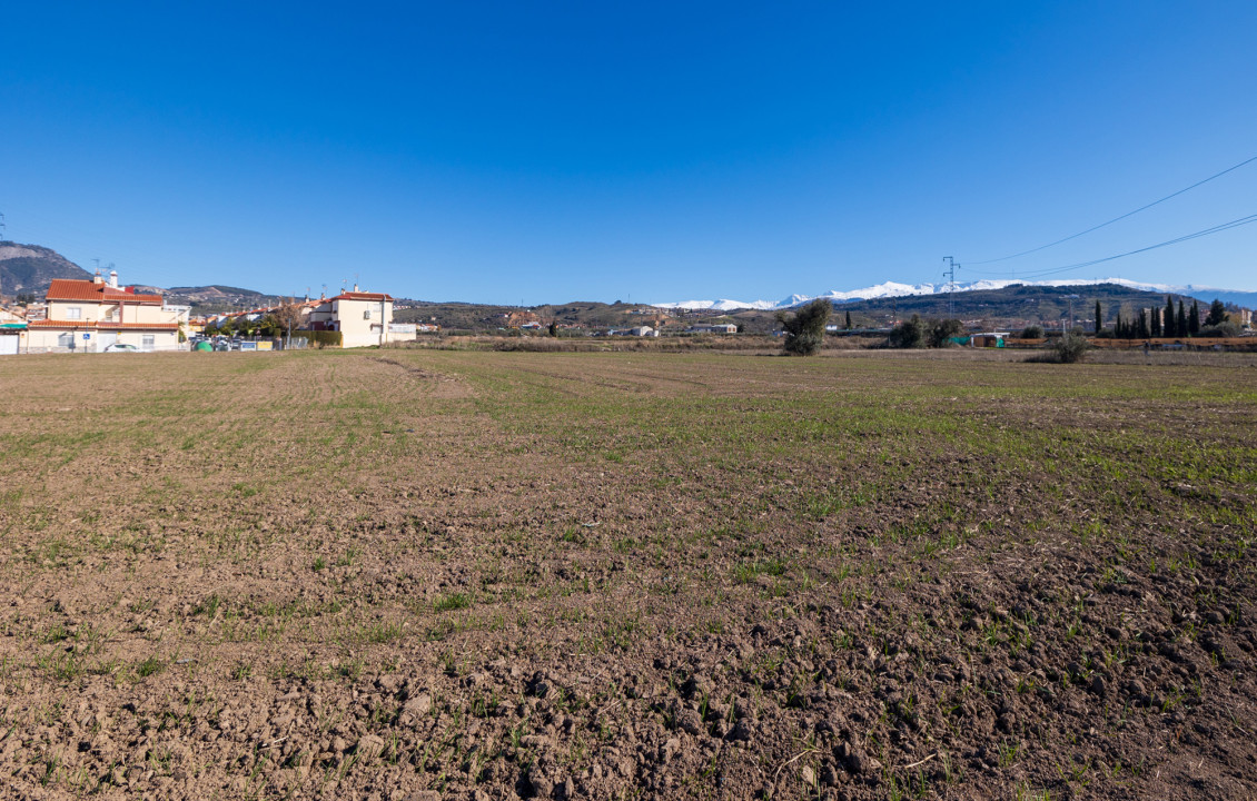 For Sale - Fincas y solares - Pulianas - CAMINO HUERTA SAN ANTON