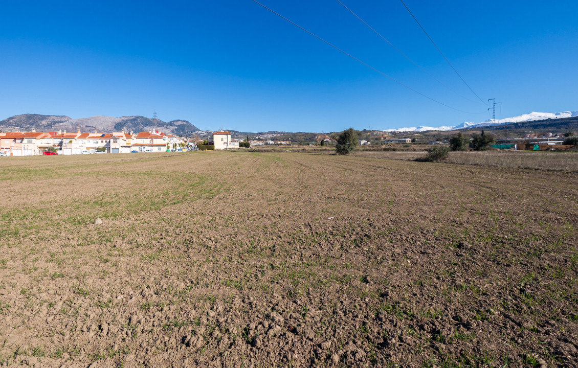 For Sale - Fincas y solares - Pulianas - CAMINO HUERTA SAN ANTON