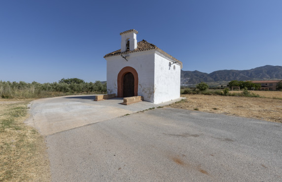 For Sale - Fincas y solares - Cozvíjar - Polígono 1, Parcela 262, Cozvíjar