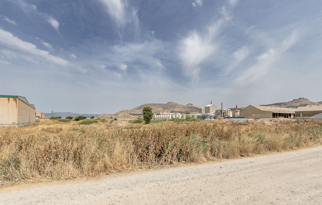 For Sale - Fincas y solares - Atarfe - del Albolote 'Transversal'