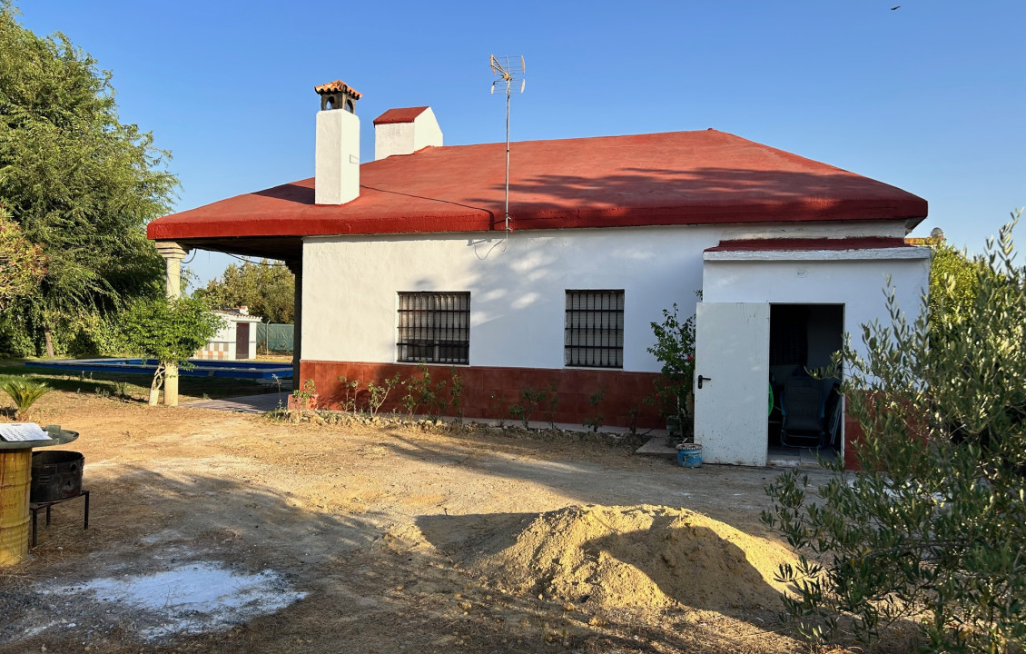 For Sale - Casas o chalets - Utrera - C. Mijo, 31