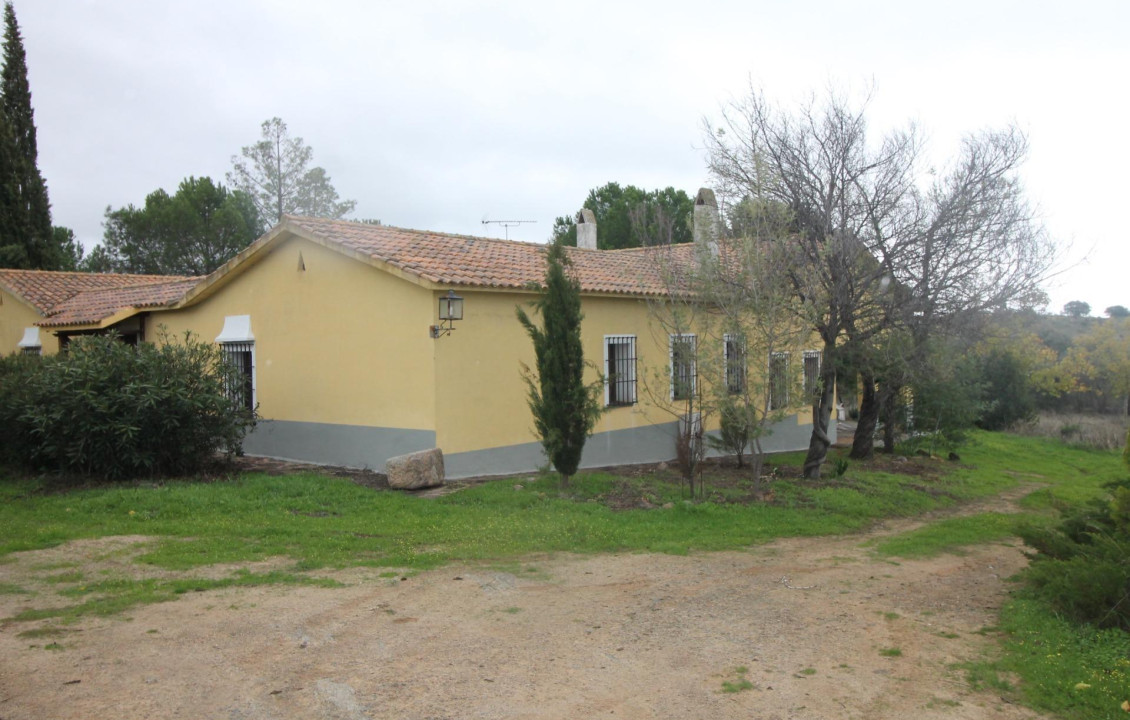 For Sale - Fincas y solares - La Estrella - LA PILITA