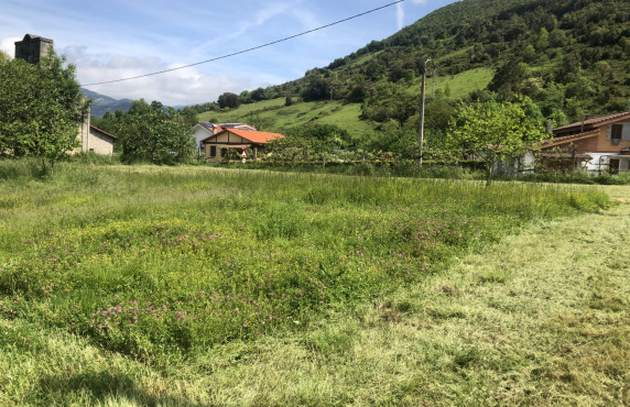 For Sale - Fincas y solares - Valle de Mena - Ungo