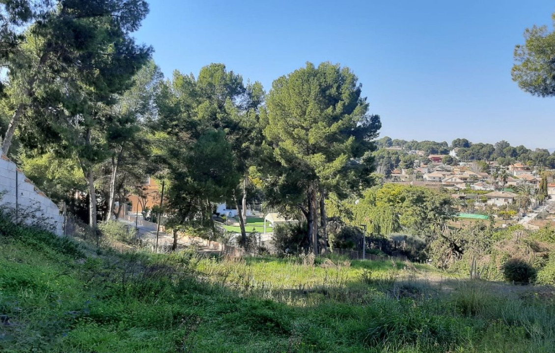 For Sale - Fincas y solares - Las Torres de Cotillas - 1ª PARQUE PALMERAS