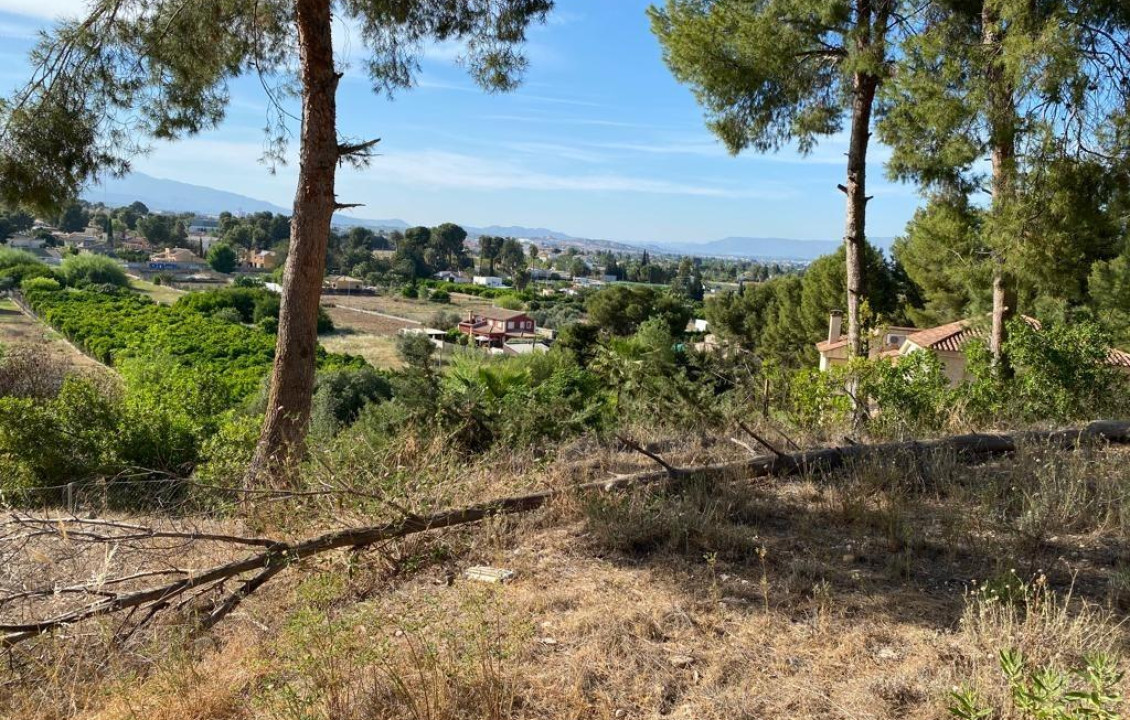 For Sale - Fincas y solares - Las Torres de Cotillas - 1ª PARQUE PALMERAS