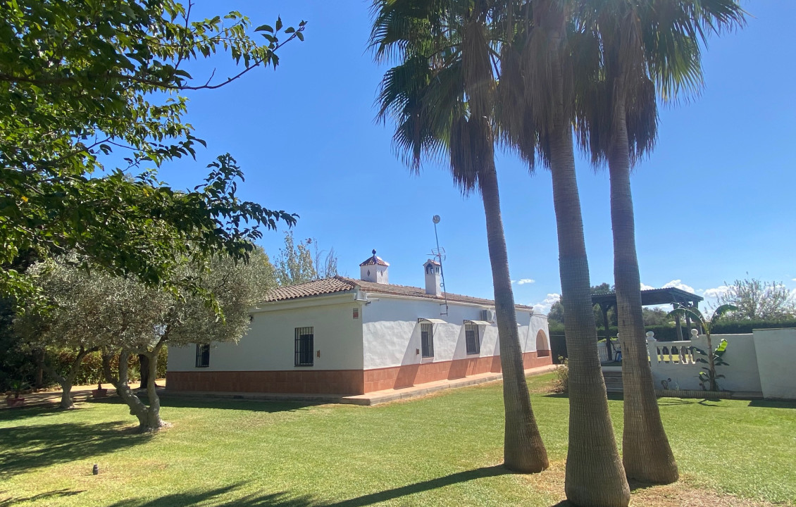 For Sale - Casas o chalets - Utrera - Calle Trigo