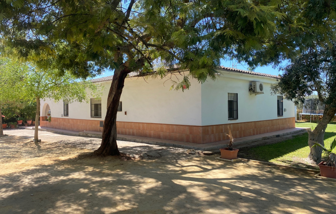 For Sale - Casas o chalets - Utrera - Calle Trigo