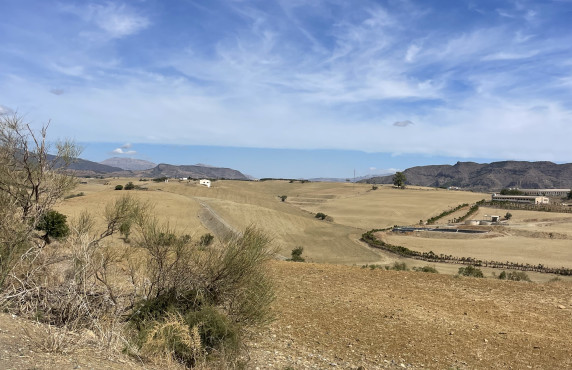 For Sale - Fincas y solares - Cártama - Carretera de los Carril de la Loma