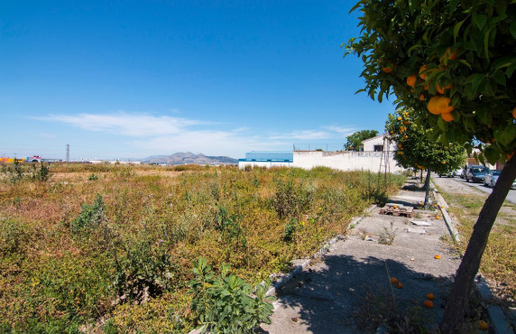 Venta - Fincas y solares - Pulianas - Barrio del Secadero