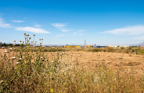 Venta - Fincas y solares - Pulianas - Barrio del Secadero