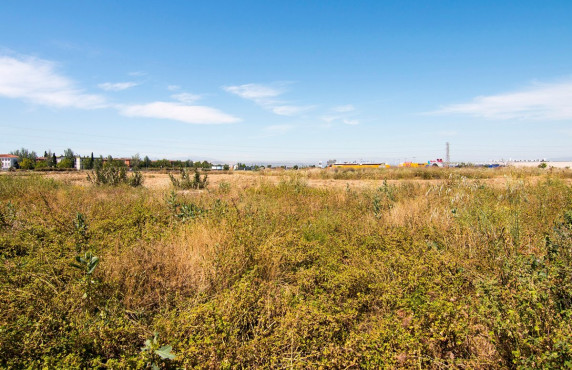 Venta - Fincas y solares - Pulianas - Barrio del Secadero