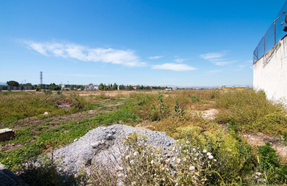 Venta - Fincas y solares - Pulianas - Barrio del Secadero