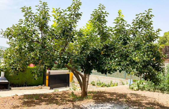 Venta - Casas o chalets - Chiva - AZUCENA