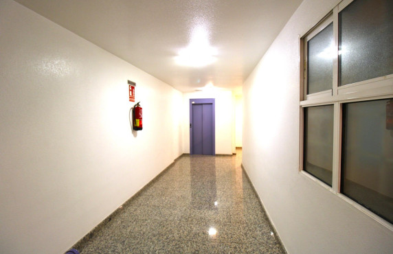 Long Rental Period - Pisos - Murcia - Calle de Antonio y Manuel Martínez