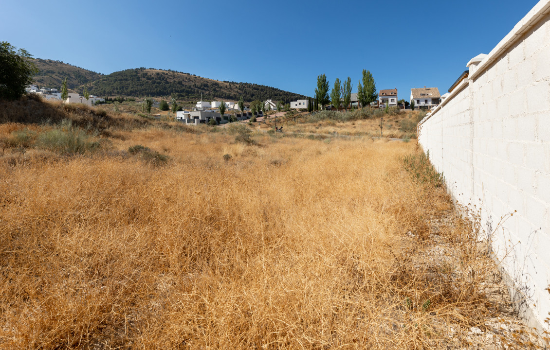 Venta - Casas o chalets - Dílar - Calle PUNTAL SIETE LAGUNAS 37