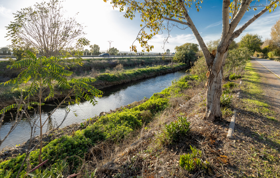 For Sale - Fincas y solares - Granada - Pago de Marachatalan Granada