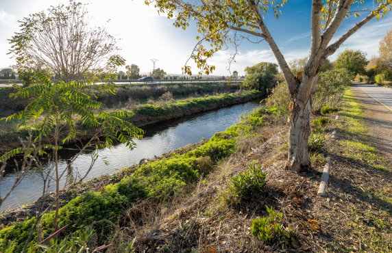 For Sale - Fincas y solares - Granada - Pago de Marachatalan Granada